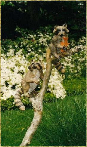 Raccoon Kits with Goldfish